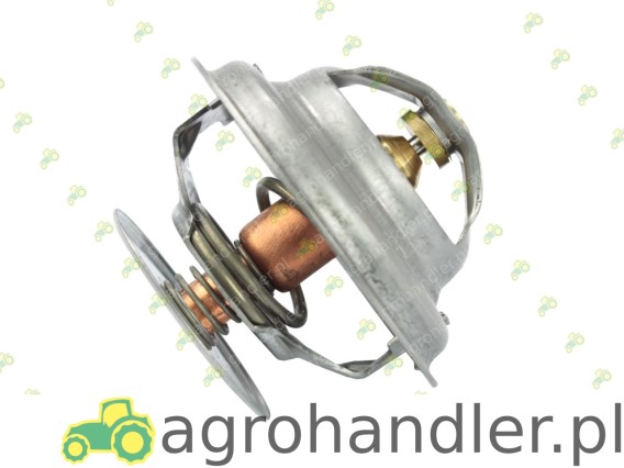 TERMOSTAT Z 7001 1316 70011316 89005904