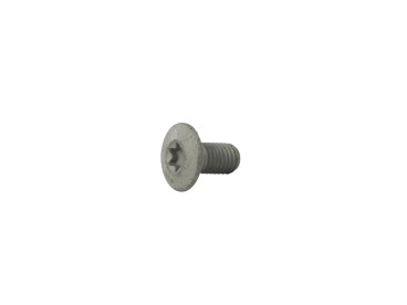 ŚRUBA TORX TRIOLIET M10x19mm 84926