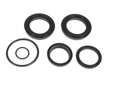 ZESTAW USZCZELNIEŃ SIŁOWNIKA 86409906K F-181