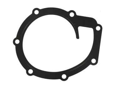 USZCZELKA POMPY WODY MASSEY FERGUSON 4225204M1 6676363A1 74715191