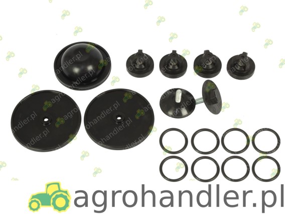 ZESTAW NAPRAWCZY POMPKI BIARDZKI P-120 ZEST000193