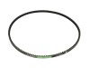 PAS KLINOWY ZĘBATY AVX13x1250 AP1005486 2612422 684121250 971180069 049798T1 186976M1 1874973M1 236959M1 3002582X1